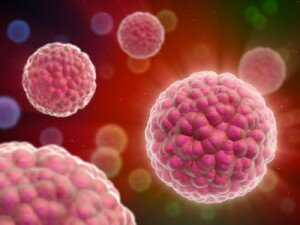 stem-cell-facelift