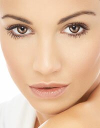 facial-bones-study facial-implant-research